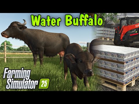 Water Buffalo! Farming Simulator 25