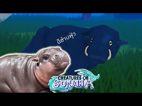 รีวิว therolachus หมูเด้ง จะเป็นยังไงไปดู  │roblox creatures of sonaria ไทย