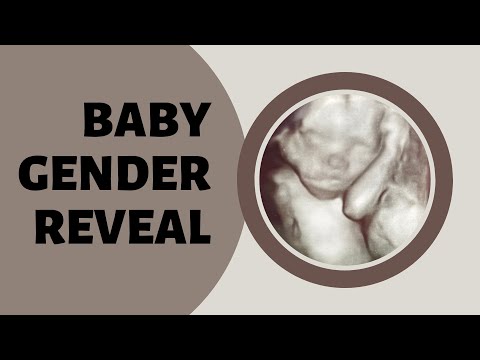 Baby Gender Reveal