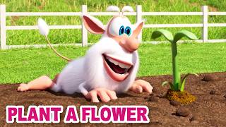 Booba - Magic Seeds, Magic Sprouts | Booba’s Flower Power - Cartoon for kids