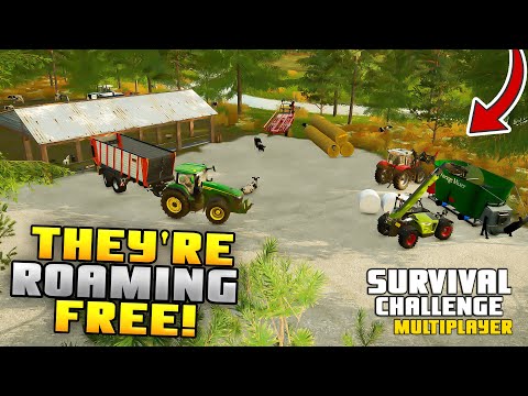 CONSTRUCTING THE COW ENCLOSURE! | Survival Challenge CO-OP | FS22 - Episode 74