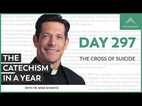 Day 297: The Cross of Suicide — The Catechism in a Year (with Fr. Mike Schmitz)