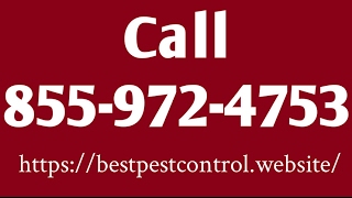 Indoor Pest Control in Houston TX 77001