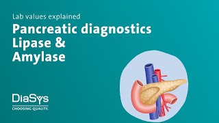 Lab values explained no. 5: Lipase & Amylase