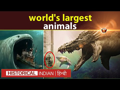 दुनिया के सबसे बड़े जानवर | the world's largest animals in Hindi | Historical Indian Hindi