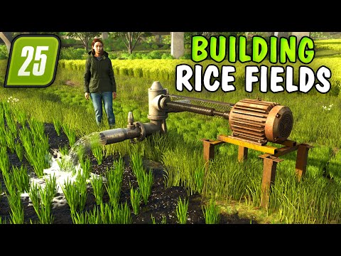 CONSTRUCTING RICE PADDIES EXPLAINED | FARMING SIMULATOR 25