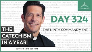 Day 324: The Ninth Commandment — The Catechism in a Year (with Fr. Mike Schmitz)