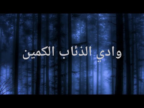 وادي الذئاب الكمين - بث مباشر