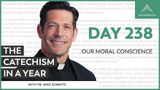 Day 238: Our Moral Conscience — The Catechism in a Year (with Fr. Mike Schmitz)