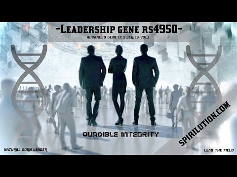 ★ Leadership Gene rs4950 ★ [Advanced Genetics]