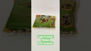 2024 Lego Creator 30666 Gift Animals Polybag Speed Build. #lego #legocreator3in1 #lego2024