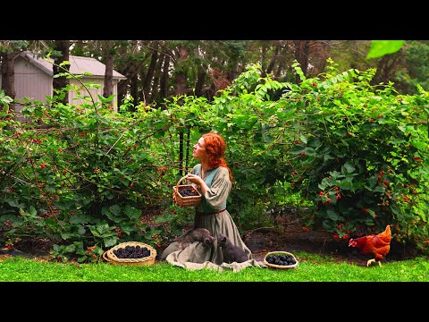 Blackberry Picking and Baking Blackberry Pie 🌻 Cozy Country Life 🧺 ASMR Cooking