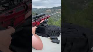 APF 338 Lapua Action