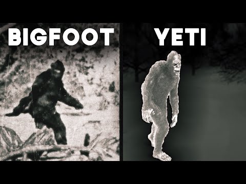 The Bigfoot & Yeti Files: Decades of Encounters and Investigations | Documentary