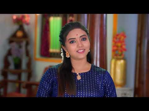 Karthigai Deepam - Full Ep - 738 - Karthikeyan, Deepa, Abirami - Zee Tamil