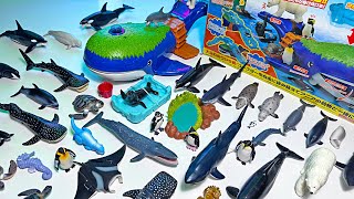 Takara Tomy Sea Animals - Whale, Shark, Dolphin, Seal, Orca, Manta Ray, Penguin, Polar Bear Sea Lion