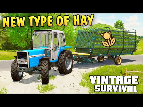 NEW TYPE OF HAY - Vintage Survival Farming Simulator 22 | Episode 28