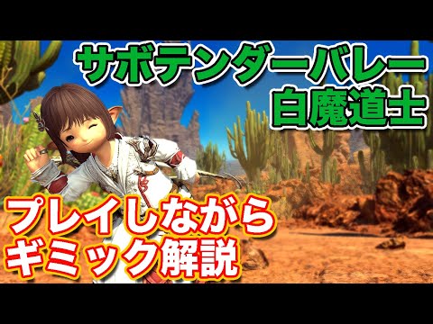 【FF14黄金】サボテンダーバレーを白魔道士(ヒーラー)で挑戦【レベル100ダンジョン パッチ7】