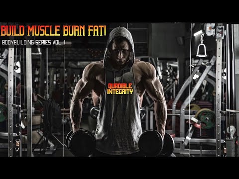 (Best Workout Music) ★Build Muscle Burn Fat Fast! (Gym Motivation Music)20Hz 30Hz 40Hz(INSANE PUMPS)