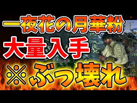 【モンハンワイルズ】一夜花の月華粉を大量入手できる方法＆アーティア武器の厳選最大効率方法が確立してしまう【モンスターハンターワイルズ/PS5/steam/最新作/攻略switch2