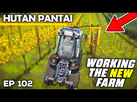 WORKING THE NEW FARM | Farming Simulator 25 - Hutan Pantai | Episode 102