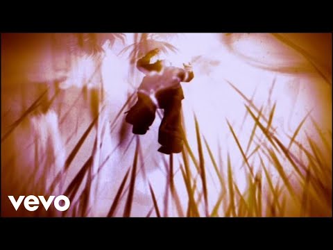 The Cure - Taking Off