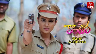 Kantara Latest Promo | Episode No 214 | 12th March 2025 | ETV Telugu