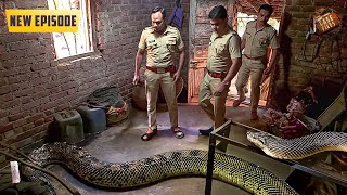 20 साल से बंद घर में क्यों पाल रहा था कई सालो से के जहरीला साप | Best Of Crime Patrol Dial | New Ep