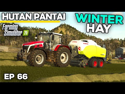 IS IT TOO LATE FOR HAY MAKING? | Farming Simulator 25 - Hutan Pantai | Episode 66