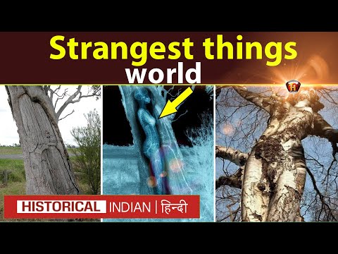 दुनिया की सबसे अजीबोगरीब चीजें | The strangest things in the world | Historical Indian Hindi