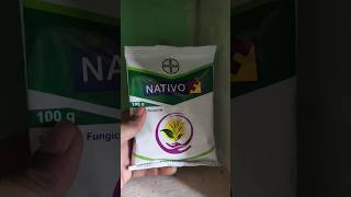 Bayer nativo #farming #agriculture #farm