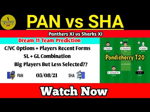 Panthers XI vs Sharks XI Dream 11 Team,PAN vs SHA Dream 11 Team Prediction, Pondicherry T20