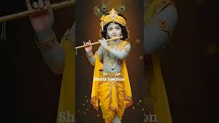 krishna🙏💕🕉️#radheshyam#radhakrishna#trending #shortsjunction#viralvideo#viralshort#premanandji🙏💕🕉️🕉️