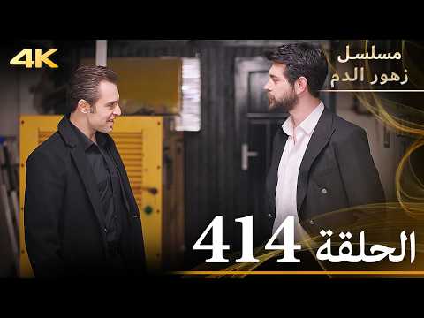 الحلقة 414 | مسلسل زهور الدم | مدبلج بالعربية | Kan Çiçekleri | جودة 4K