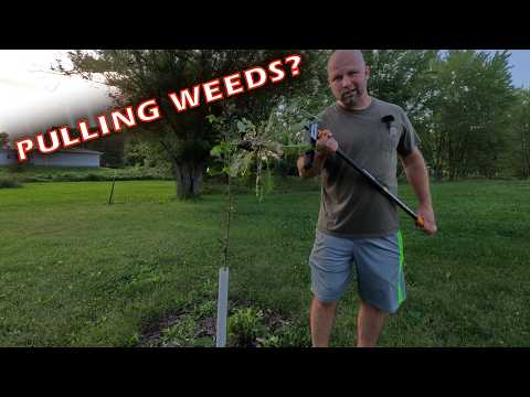 Pull weeds standing up?! Removes Weeds Quickly and Easily