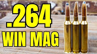 264 Win Mag - Ammo Testing [I Love This Cartridge]