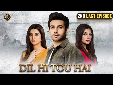 Dil Hi Tou Hai 2nd Last Episode | Ali Ansari | Zoya Nasir | Top Pakistani Drama