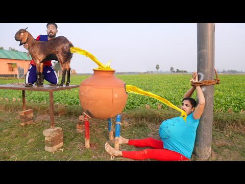 Top New Comedy Video Amazing Funny Video 😂Try To Not Laugh Episode 247 By BusyFunLtd