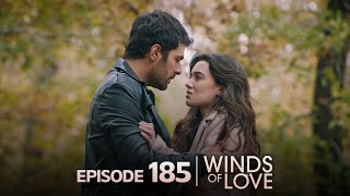 Rüzgarlı Tepe 185. Bölüm | Winds of Love Episode 185