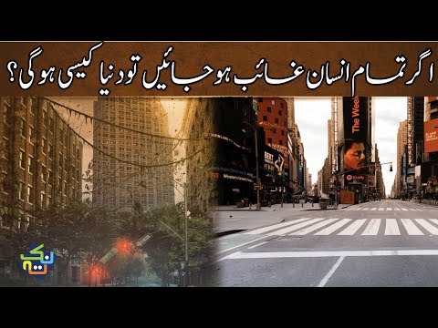 What Would Happen if All Humans Disappeared from Earth | Explained in Hindi/Urdu | Nuktaa