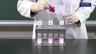 Practical 6.4 Investigation of the action of lipase