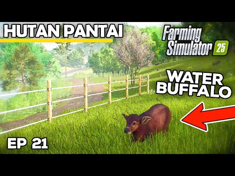 CREATING A WATER BUFFALO HAVEN | Farming Simulator 25 - Hutan Pantai | Episode 21