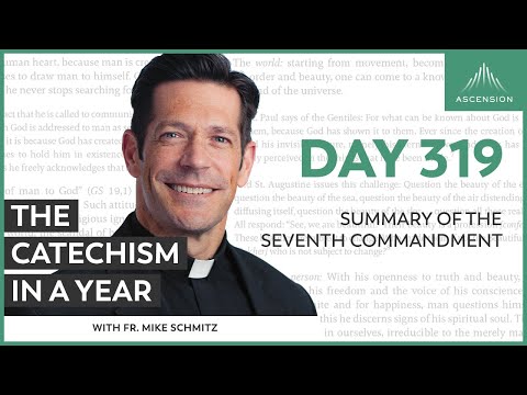 Day 319: Summary of the Seventh Commandment — The Catechism in a Year (with Fr. Mike Schmitz)