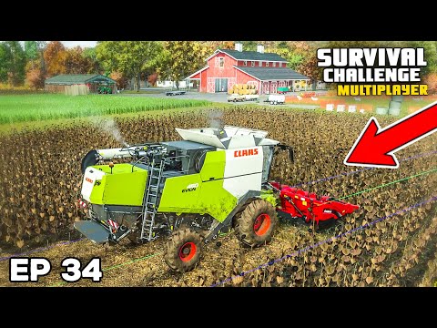 LOOKING BRIGHT FOR THE SUNFLOWERS | Farming Simulator 25 - Survival Challenge | Episode 34