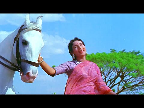 Mohammed Rafi - Asha Bhosle | Neel Gagan Par Udte Badal | Hindi Song | Sunil Dutt | Nutan