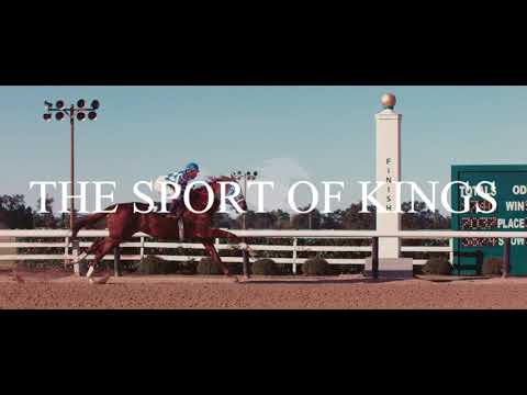 HORSE RACING MUSIC VIDEO // DAECHWITA SakuraStallion