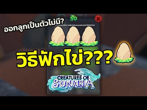 ฟักไข่ทำยังไง  มือใหม่ทำตามง่ายๆ  │roblox creatures of sonaria ไทย