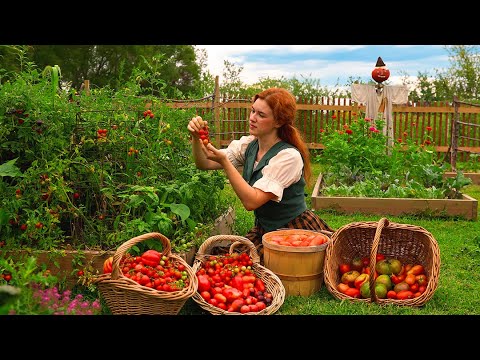 Cozy Summer Days Canning Tomatoes from the Garden | ASMR Cooking