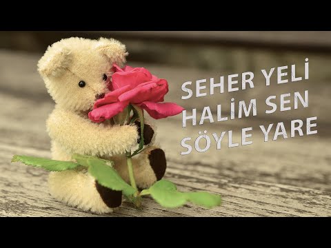 Seher yeli halim sen söyle yare | Fatih Zirek Official