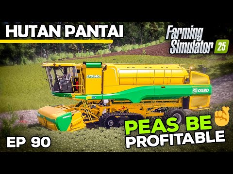 PEAS BE PROFITABLE 🤞 | Farming Simulator 25 - Hutan Pantai | Episode 90